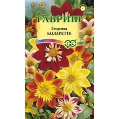 Георгина Коларетте  0,2 г