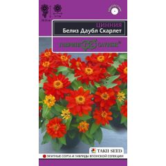 Цинния Белиз даубл скарлет 5 шт.