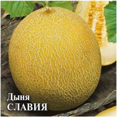 Дыня Славия 25 г