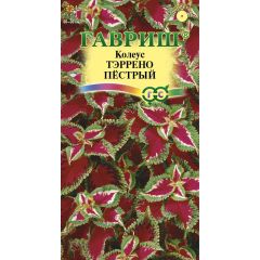 Колеус Тэррено пестрый* 5 шт.