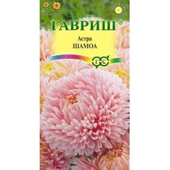 Астра Шамоа, однолетняя (пионовидная) кремовая) 0,3 г