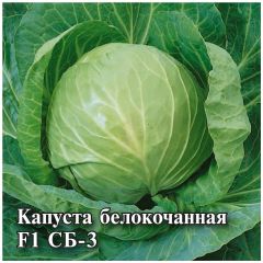 Капуста белокоч. СБ-3  F1 10,0 г для квашения