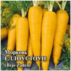 Морковь Еллоустоун 10,0 г (Голландия)