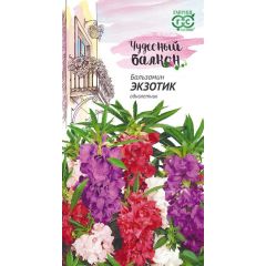 Бальзамин Экзотик (Уоллера) карлик.*  0,1 г серия Чудесный балкон