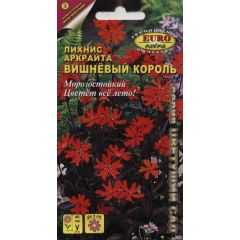 Лихнис Вишнёвый король Аркрайта 0,02 г Аэлита