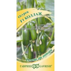 Огурец Коллаж F1 10 шт.