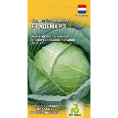 Капуста белокоч. Адема РЗ F1 10 шт. ранняя  (Голландия)