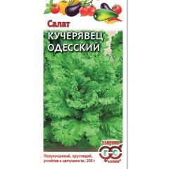 Салат Кучерявец Одесский 0,5 г хрустящий