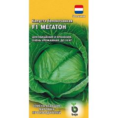Капуста белокоч. Мегатон F1 10 шт. (для квашения Голландия)