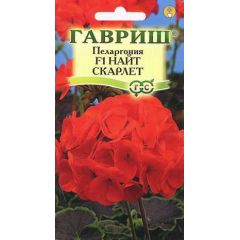 Пеларгония Найт Скарлет F1 зональная* 4 шт.