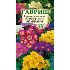 Примула Эрфуртские великаны* 20 шт. серия Устойчив к заморозкам!