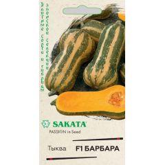 Тыква Барбара F1, мускатная 5 шт.(Саката)