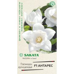 Платикодон (Ширококолокльчик крупноцветковый) Антарес F1, 4 шт. Саката серия Эксклюзив