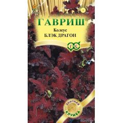 Колеус Блэк Драгон* 5 шт. Элитная клумба