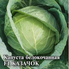 Капуста белокоч. Казачок F1 25,0 г ранняя