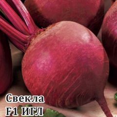 Свекла Игл F1 25 г (Саката)