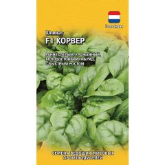 Шпинат Корвер F1 1,0 г (Голландия)