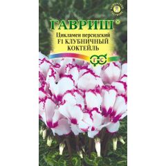 Цикламен Клубничный коктейль, персидский, ароматный * 3 шт.