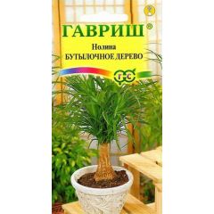 Нолина Бутылочное дерево*  3 шт.