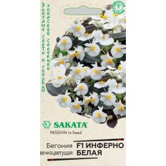 Бегония Инферно белая F1 гибридн. гранул. 4 шт. пробирка, Саката серия Элитная клумба