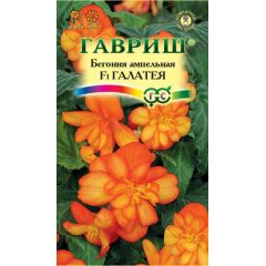 Бегония ампельная Галатея F1 клубневая гранул. 4 шт. пробирка