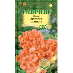 Флокс Шанель друммонда* 8 шт. серия Элитная клумба