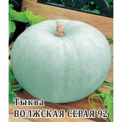 Тыква Волжская серая  92 25,0 г