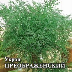 Укроп Преображенский 25,0 г