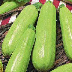 Кабачок Барчук F1 25 г