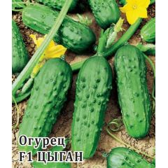 Огурец Цыган F1 250 шт.