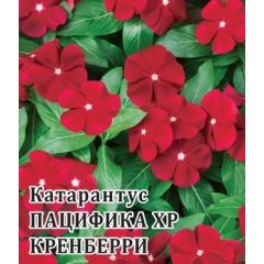Катарантус Пацифика XP Кренберри 100 шт.