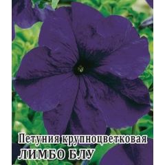 Петуния Лимбо Блу крупноцв. 100 шт.