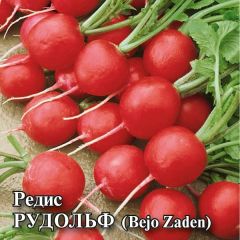 Редис Рудольф 25,0 г (Голландия)