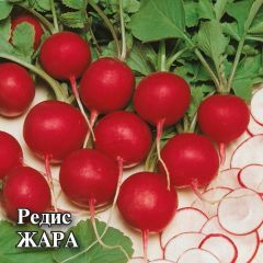 Редис Жара 25,0 г