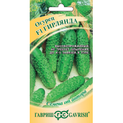 Огурец Гирлянда F1 100 шт.