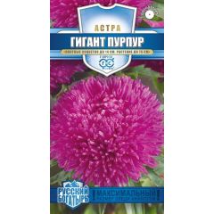 Астра Гигант пурпур, однолетняя (игольчато-коготковая)*  0,05 г серия Русский богатырь