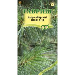 Кедр сибирский Шепард 3 шт.