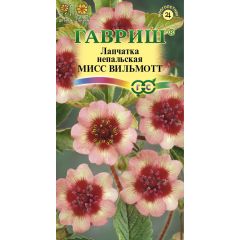 Лапчатка непальская Мисс Вильмот* 0,02 г