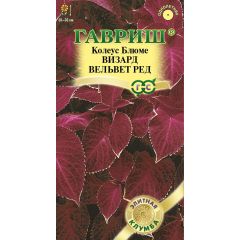 Колеус Визард Вельвет ред* 5 шт. Элитная клумба