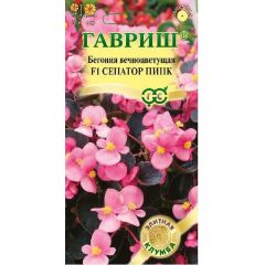 Бегония Сенатор Пинк F1 вечноцв. 4 шт. пробирка Саката серия Элитная клумба