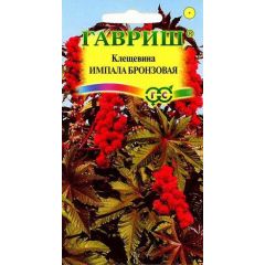 Клещевина Импала бронзовая 5 шт.