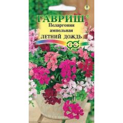 Пеларгония ампельная Летний дождь, смесь* 3 шт.