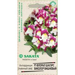 Львиный зев (Антирринум) Флорал Шауэрс Биколор вишневый* 7 шт. Саката