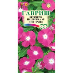Катарантус Пацифика XP Дип Орхид* 5 шт. серия Элитная клумба