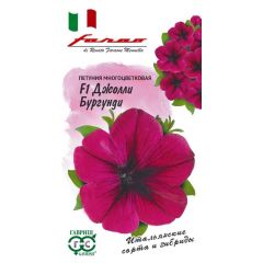 Петуния Джолли бургунди F1 многоцв. 7 шт. гранул. пробирка, серия Фарао