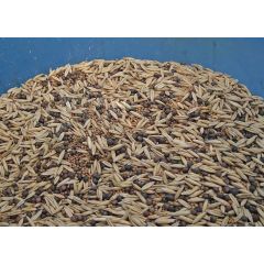 Зелёное удобрение смесь сидератов 1,0 кг