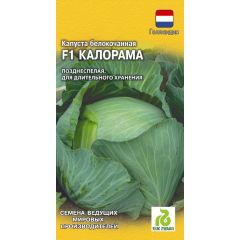 Капуста белокоч. Калорама F1 10 шт. для хранения (Голландия)