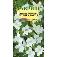 Азарина Музыка дождя 4 шт.