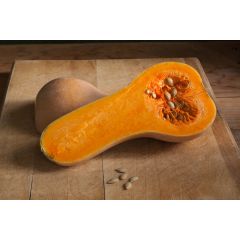 Тыква Баттернат, мускатная 50 г