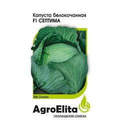 Капуста белокоч. Септима F1 15 шт. позд. (Райк Цваан) Агроэлита
